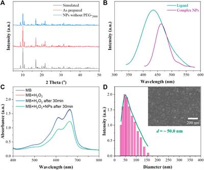 Rational Design of a Gd(III)–Cu(II) Nanobooster for Chemodynamic Therapy Against Cancer Cells